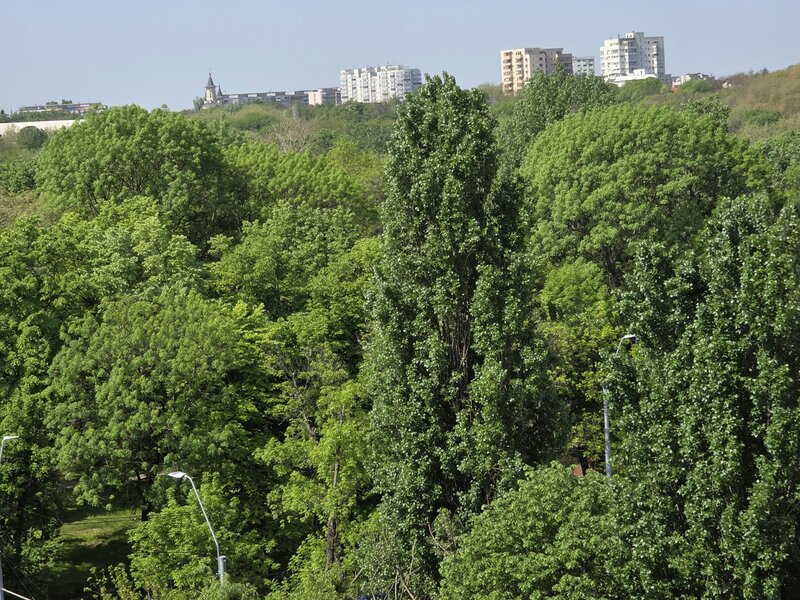 Tineretului, 5 minute metrou, chiar vav parc, vedere spate,